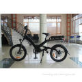 Custom design popular front wheel electric bike